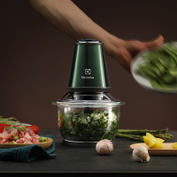 伊莱克斯(ELECTROLUX) 绞肉机 2010