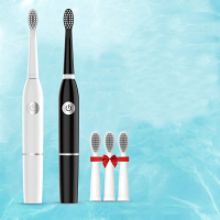 电动牙刷 成人按键式电池款电动牙刷