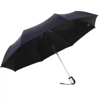 天堂伞全自动折叠雨伞