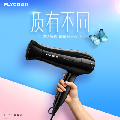 飞科FLYCO 吹风机FH6231 可折叠 健康柔风 冷热调节吹风筒 单个价