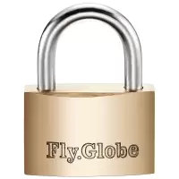 飞球(Fly.Globe)FQ-B*40MM 铜挂锁箱包锁 40mm中型铜锁体 金色 (单位:把)
