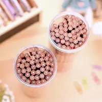 得力33330 HB椴木印花六角铅笔*48支/筒