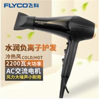 飞科FH6101吹风机大功率电吹风发廊家用负离子冷热风理发店吹风DJ点睛
