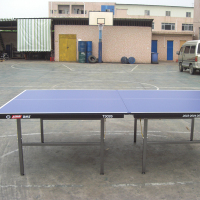 红双喜 标准乒乓球台球桌(赠网架) T3026