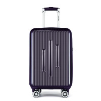 外交官(Diplomat) 拉杆箱 DS-13001