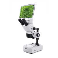 Motic麦克奥迪SMZ161S 数码体视显微镜中小学生专业高清检测便携光学实验套装科研