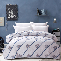 大嘴猴(paul frank) PF0696YMB 舒芯羊毛被芯