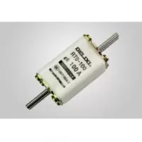 德力西 RT0-100 低压熔断器100A (计价单位:个)