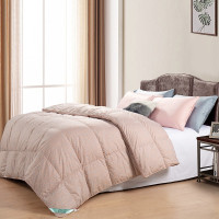 维科家纺(VEKEN) 皇家伯爵鹅绒被