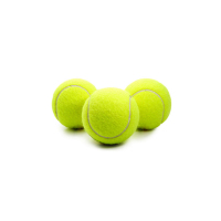 守护犬具 网球