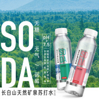 农夫山泉苏打水410ML*15