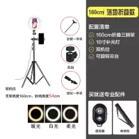 intermail【落地款】-【160cm三脚架】-【双机位】-【10寸补光灯】
