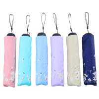 天堂伞 33525E塞上雏菊