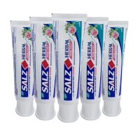 WQLQ狮王(LION) 草本锡盐咸味牙膏90G*5支