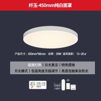 Yeelight皎月智能LED吸顶灯圆形满天星卧室灯具现代简约小爱同学 纤玉-450mm纯白面罩