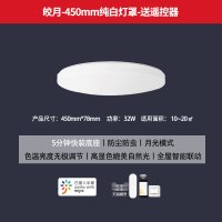 Yeelight皎月智能LED吸顶灯圆形满天星卧室灯具现代简约小爱同学 皎月-450mm纯白灯罩-送遥控器
