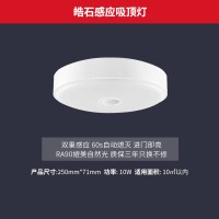 Yeelight智能LED吸顶灯 卧室玄关阳台客厅灯简约现代房间北欧灯具 双感应吸顶灯(250mm)