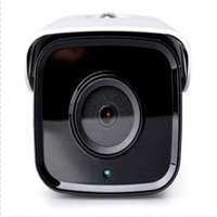 大华星光级POE供电双灯网络高清监控摄像机 DH-IPC-HFW2233M-I2