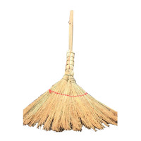 扫帚高粱苗扫地芒草笤帚 无种子