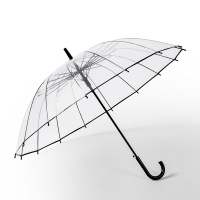 DELSEY 雨伞定制logo 透明雨伞 长柄伞 直柄8股 定制款 300起订