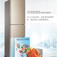 AGQ ZQ海尔 BCD-206STPP冰箱 1151