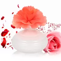 ap 陶瓷香薰无火香薰灯室内卧室陶瓷工艺香水 香薰藤条礼盒 水百合 两盒装