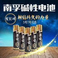 南孚南孚电池5#
