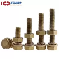 ?佰瑞特螺杆M6*30(一套)