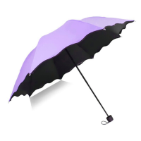 唐易雨伞 遇水开花雨伞 颜色随机(单位:把)