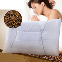 富安娜（FUANNA）家纺枕头决明子茶香枕芯家用成人枕芯双人枕一对装 决明子对枕 74*48cm