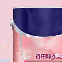 粉色油漆 5L 1桶/件