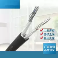 2芯铠装线缆10平方 价格单位：元/米