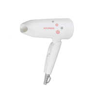 韩国现代(HYUNDAI)电吹风YH1600