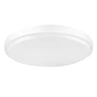 led吸顶灯圆形 20cm 12W 白光