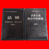 法辩:中国法的过去、现在与未来