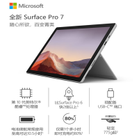 HDST 微软笔记本电脑Surface Pro7 酷睿十代i5 8G 256G SSD 12.3寸 亮铂金 单个价