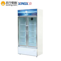 星星(XINGX) 风直冷冷藏陈列柜 LSC-658T 1110*620*1995 (J)