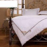 富安娜(FUANNA)家纺 蚕丝被 桑蚕丝雅莹桑蚕丝春秋被床上用品被芯被子 白色 1.8m床(230*229)