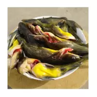 汪丫鱼 500g 生鲜满99元配送