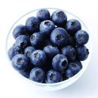 新鲜水果 辽宁丹东蓝莓(特级)840g/箱 (140g*6盒) LY