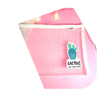 企业专享 A5仙人掌文件袋 起订量300