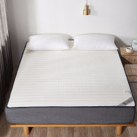 伊伊爱 CD-9RJ-001 90*200cm乳胶床席梦思隔脏护垫1cm厚(计价单位:张)
