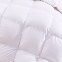 左思右想羽绒被2200mm*2300mm 10190645