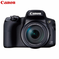 佳能（Canon）PowerShot SX70 HS 高清 旅游 摄影 65倍长焦数码照相机 带64G卡和包