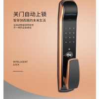 名佳(MINGGIA)指纹锁 W-7-2