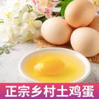 [江苏扶贫][财政集采][丰县]山源草鸡蛋45枚/盒(10件起拍)