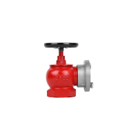 齐鲁 消火栓SN65