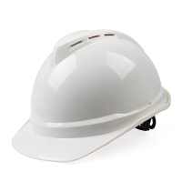 东来办防静电安全帽 (单位:件)