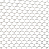 小孔塑料平网养殖网1.8孔1平米