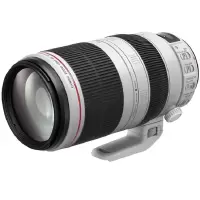 佳能(Canon)EF 100-400mm f/4.5-5.6L IS II USM 单反镜头 远摄变焦镜头
